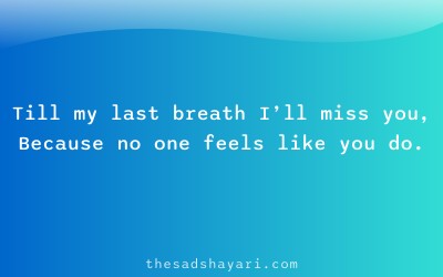 Miss you shayari in Hindi about never ending love