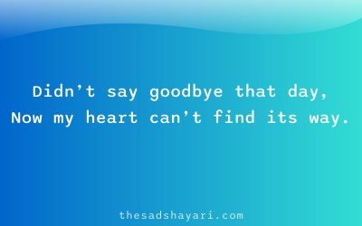 Sad Hindi shayari about missed farewell