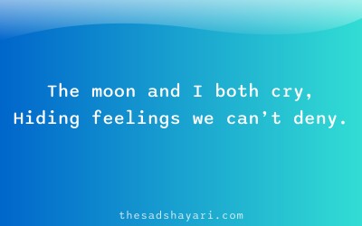 Heart touching night sad shayari in Hindi about moon