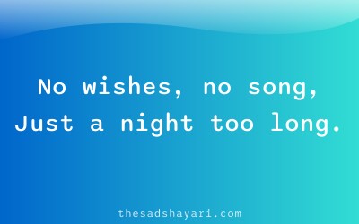 Sad birthday shayari about no celebration