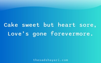 Sad birthday shayari about lost love