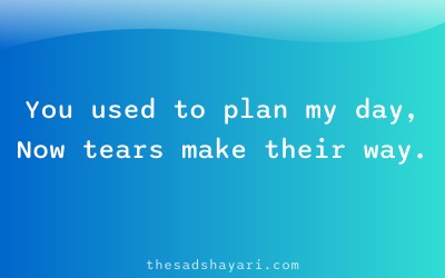 Sad birthday shayari about lost care