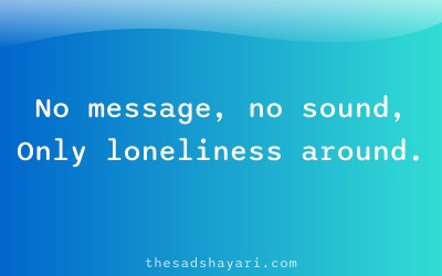 Sad Hindi birthday shayari about forgotten birthday