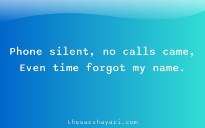 Sad Hindi shayari about forgotten birthday