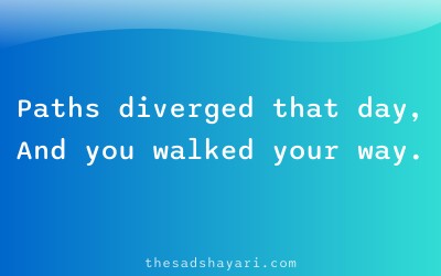 Sad Hindi shayari about choosing separate paths