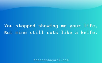 Sad Hindi shayari about being blocked from status