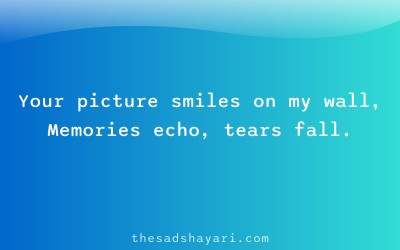 Sad shayari about old pictures and memories
