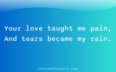 Heart touching sad shayari in Hindi about painful love