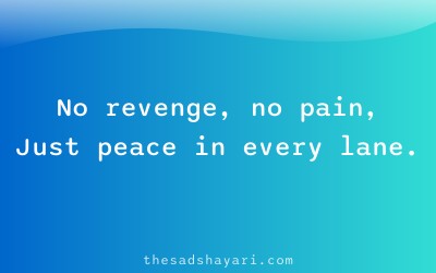 Motivational Hindi shayari about peace after heartbreak