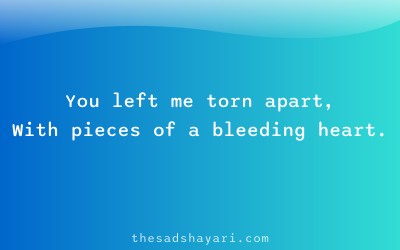 Heart broken Hindi shayari about lost love