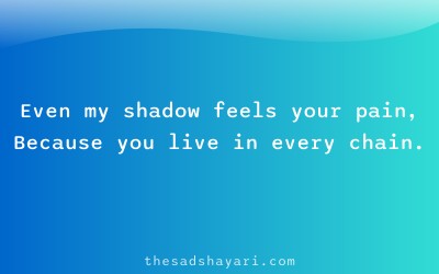 Sad dard bhari shayari about pain and shadow
