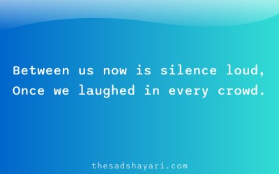 Sad friendship shayari in Hindi about silence