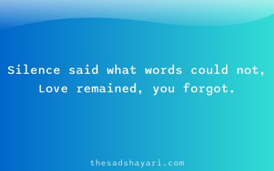 Heart touching unsaid shayari about silence