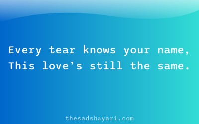 Gujarati shayari about crying for love memories