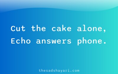 Birthday shayari about celebrating alone