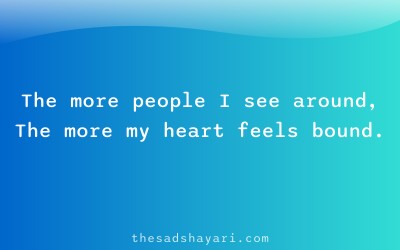 Sad Hindi shayari about being alone on festivals