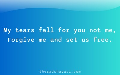 Sorry shayari Hindi about tears for someone else