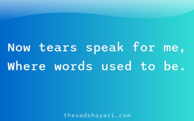 Sad Hindi shayari about crying in relationship
