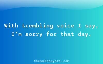 Heartfelt sorry shayari in Hindi about apology