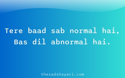 Hinglish shayari about life after love