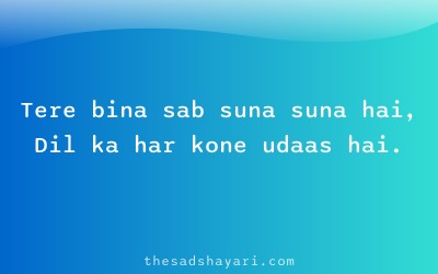 Hinglish sad shayari about emptiness without love