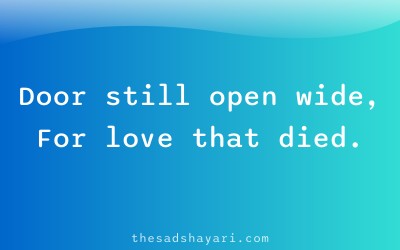 Sad waiting shayari about open door and lost love