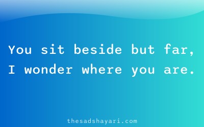 Sad Hindi shayari about emotional gap in marriage