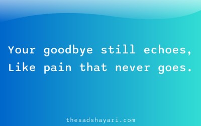 Breakup shayari in Hindi about last goodbye