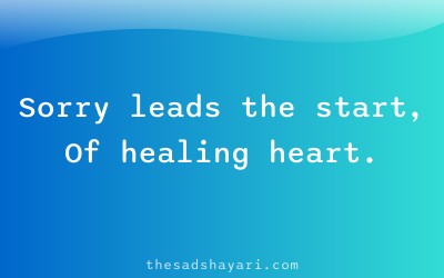 Sorry shayari in Hindi about healing relationship