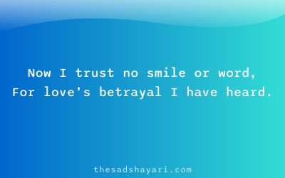 Bewafa shayari in Hindi about lost trust