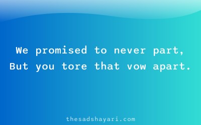 Sad dosti bewafa shayari in Hindi about false promises