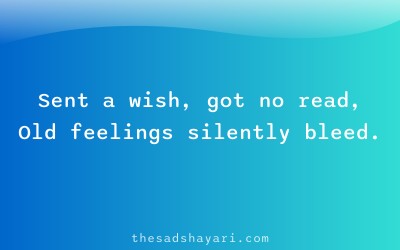 Sad shayari about ignored wishes in new year