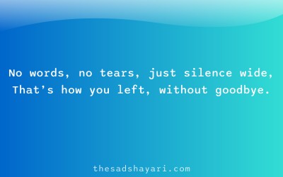 Sad Hindi shayari about goodbye and silence