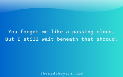 Sad Hindi shayari about forgotten love