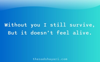 Sad shayari about surviving without love
