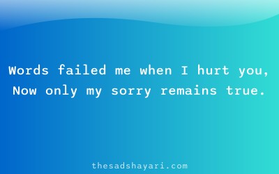 Sorry shayari Hindi about lack of right words