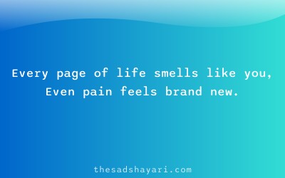 Emotional Hindi shayari about memories like pages