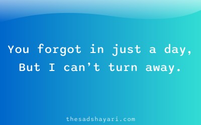 Sad Hindi shayari about ex forgetting love