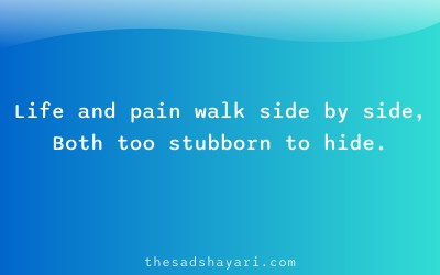 Zindagi sad Hindi shayari about pain and life