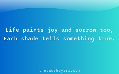 Zindagi sad shayari in Hindi about colors of life